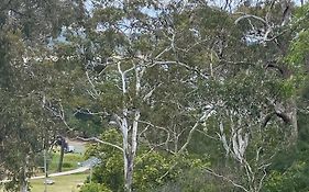 Tathra Views